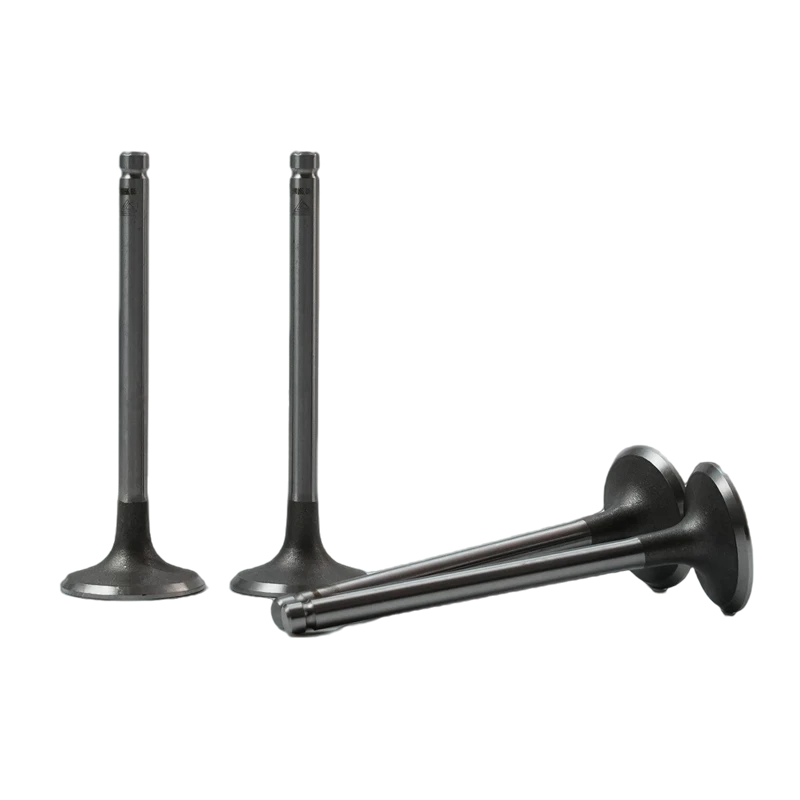 Válvula de admisión SA471B-04038 Lister Petter para Lister Petter SA423G1