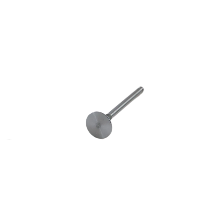 Válvula de escape Lister Petter SA471B-04031 para Lister Petter SA423G1