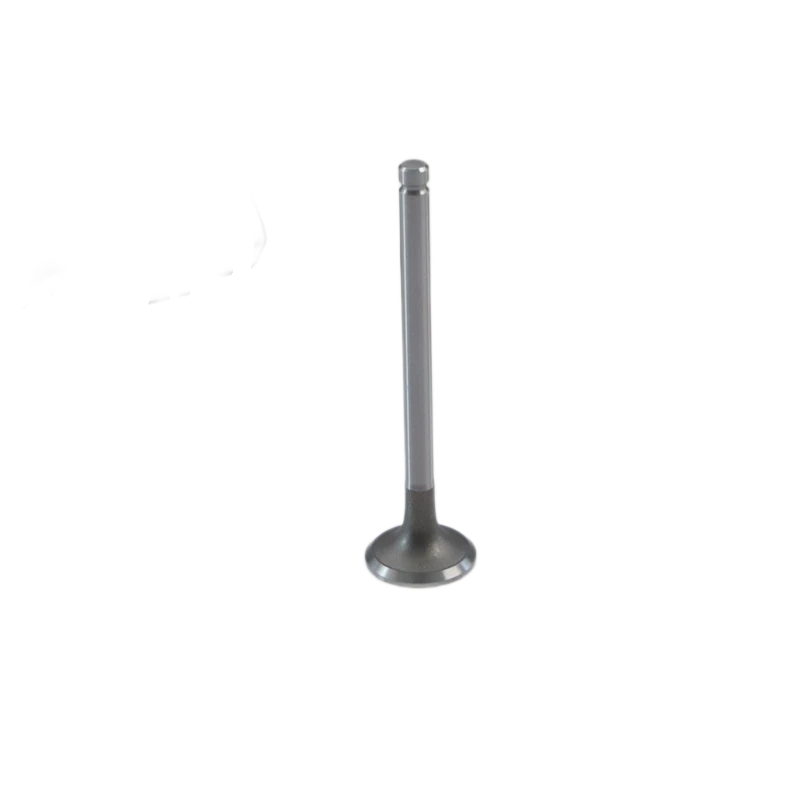 Válvula de escape Lister Petter SA471B-04031 para Lister Petter SA423G1