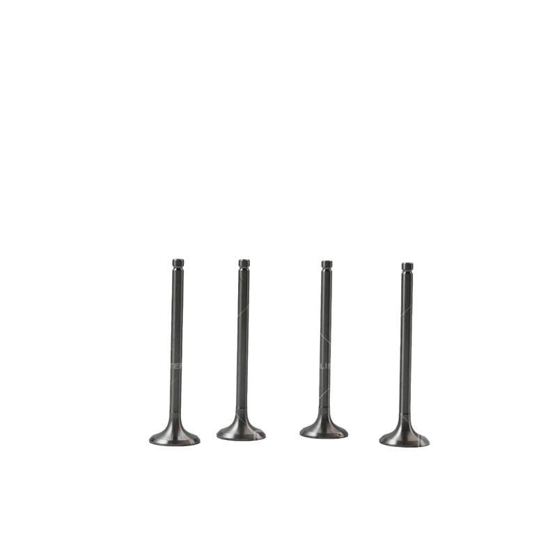 Válvula de escape Lister Petter SA860B-04031 para Lister Petter SA427G1
