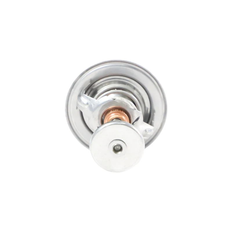 Termostato Lister Petter LP55-305-600 para Lister Petter LP689G3